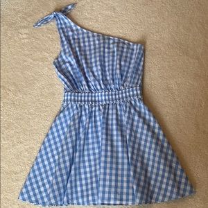 Adorable Revolve gingham dress